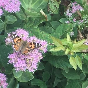 Meet your Posher, Glendalee